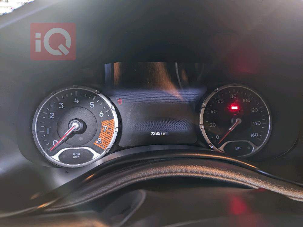 جيب رينيجيد